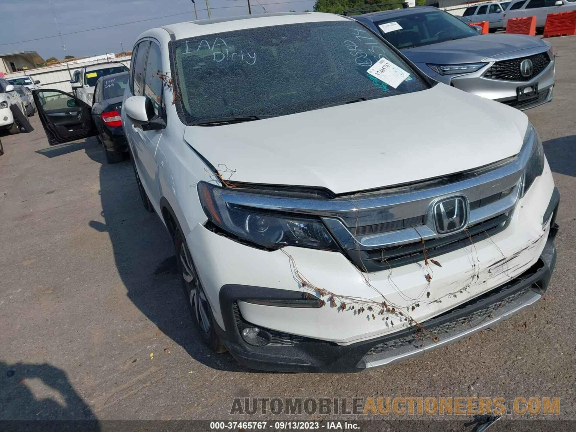 5FNYF5H51MB033174 HONDA PILOT 2021