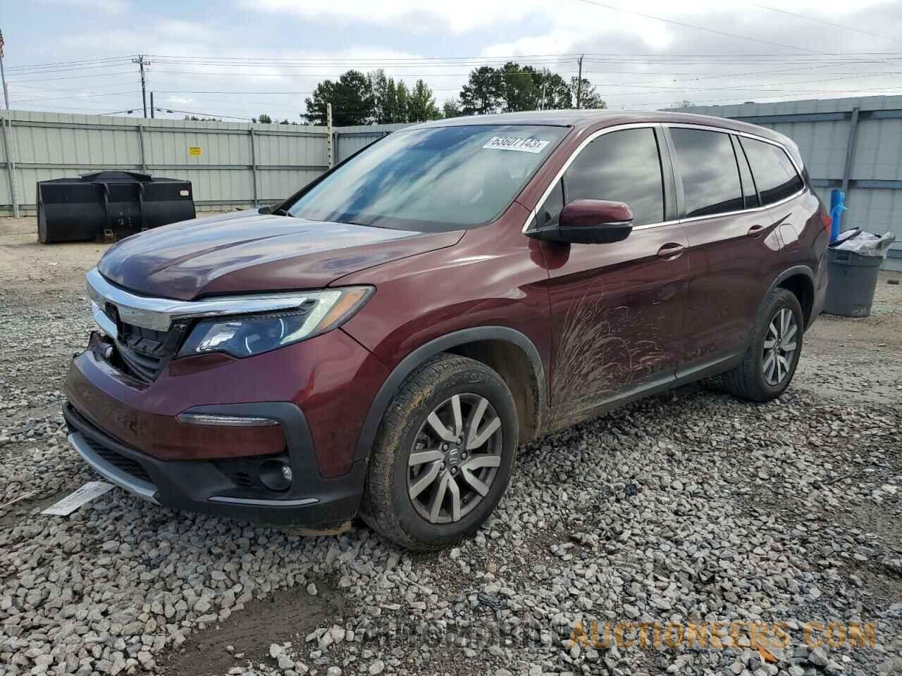 5FNYF5H52KB041359 HONDA PILOT 2019