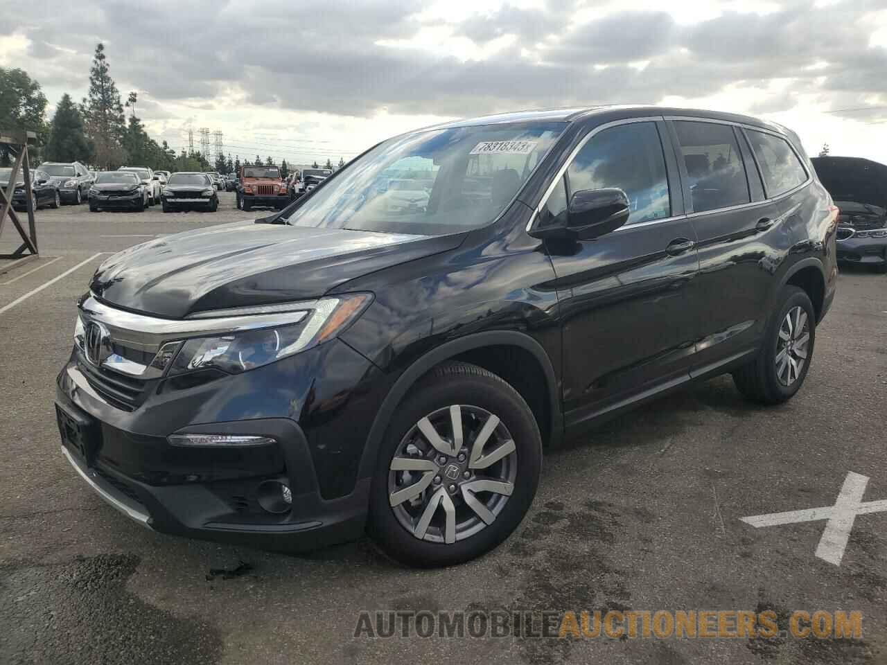 5FNYF5H53NB036014 HONDA PILOT 2022