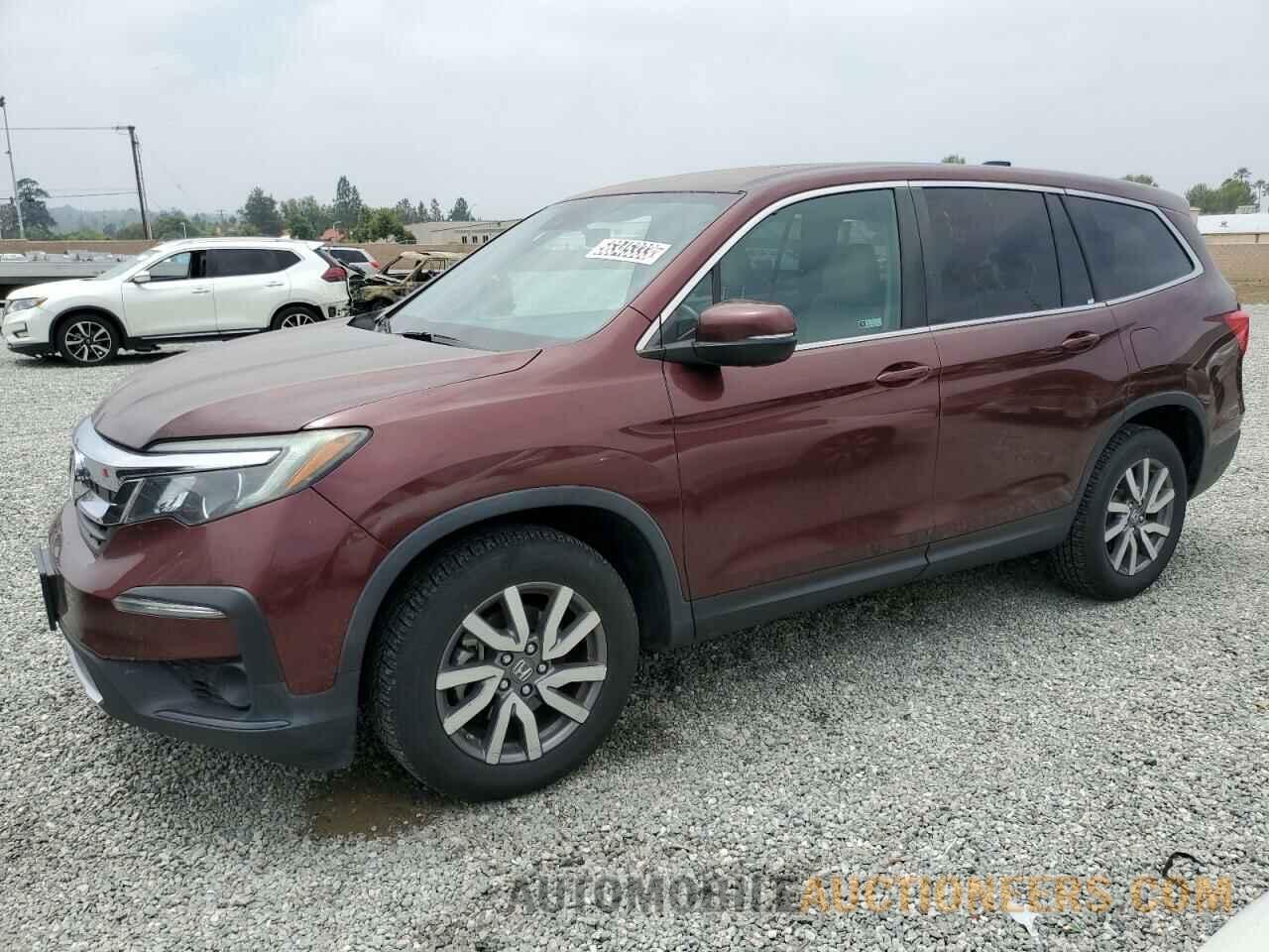 5FNYF5H54KB007617 HONDA PILOT 2019