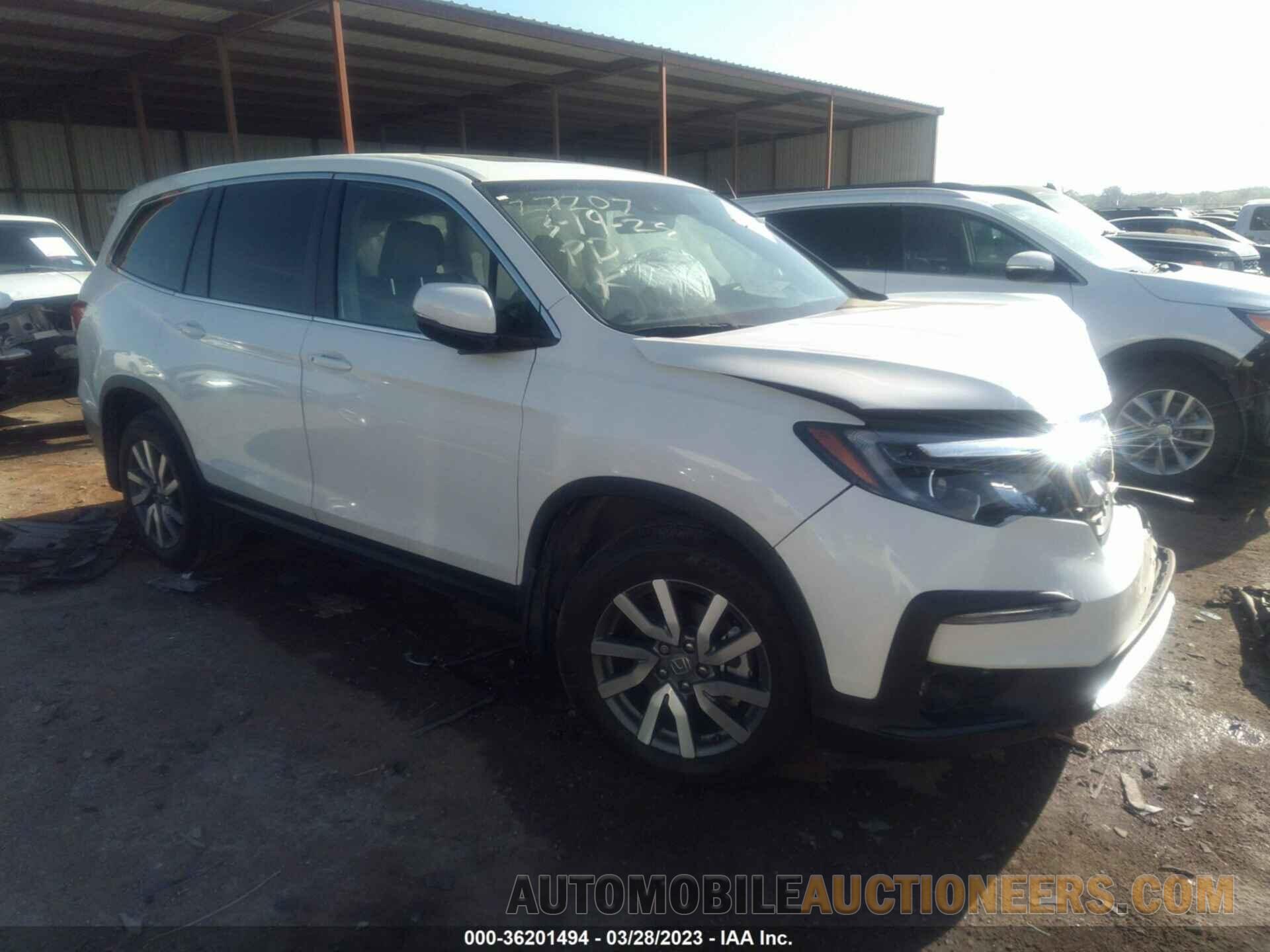 5FNYF5H56KB031921 HONDA PILOT 2019