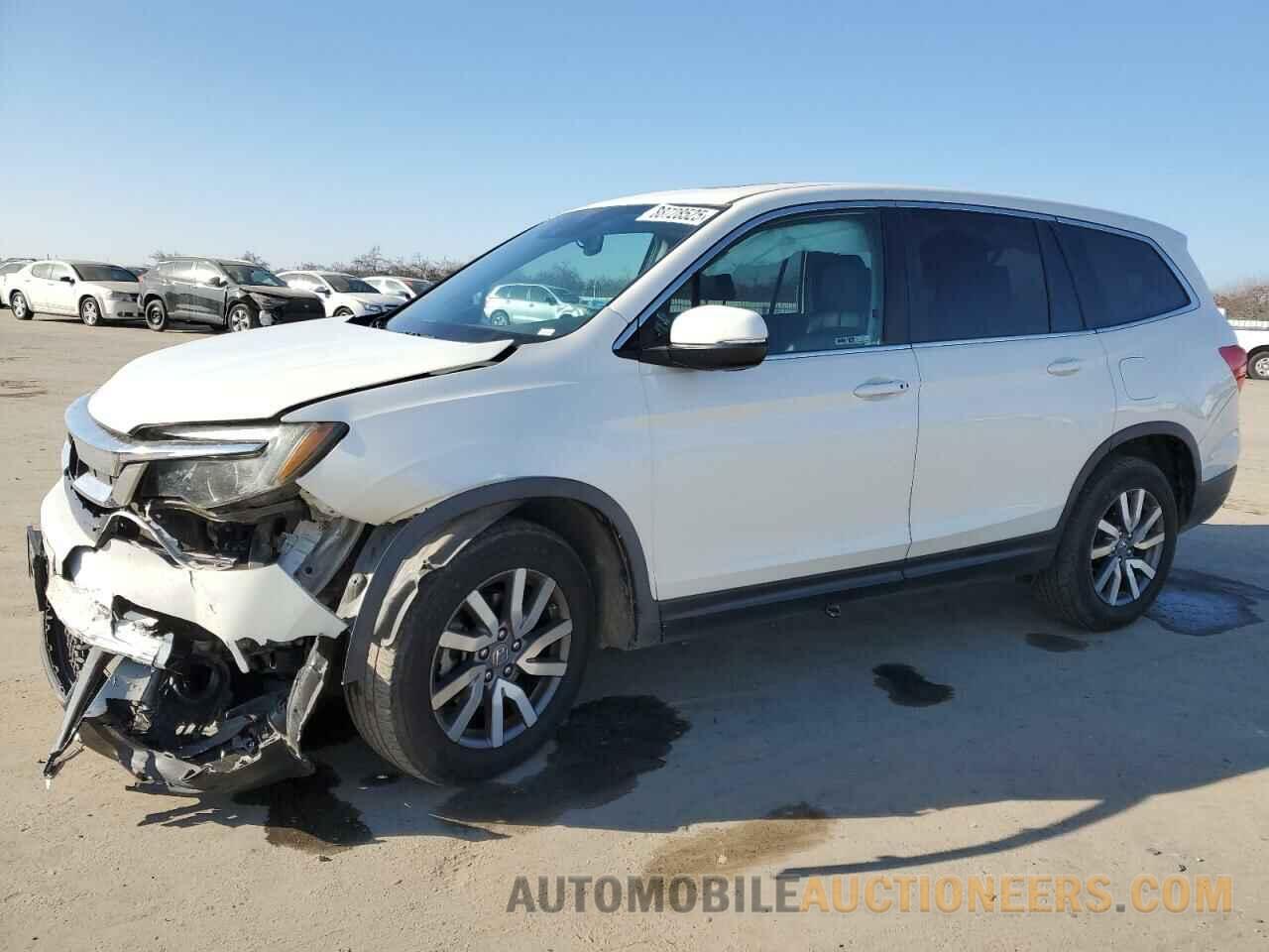 5FNYF5H56KB035354 HONDA PILOT 2019