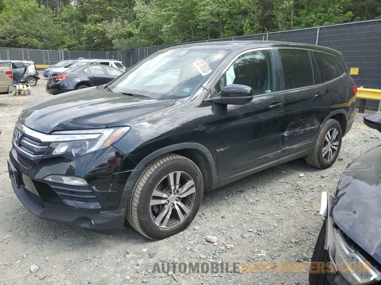 5FNYF5H58JB019350 HONDA PILOT 2018