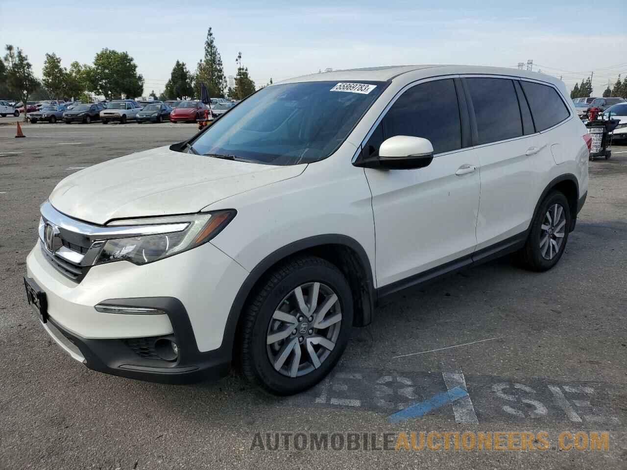 5FNYF5H58KB005451 HONDA PILOT 2019