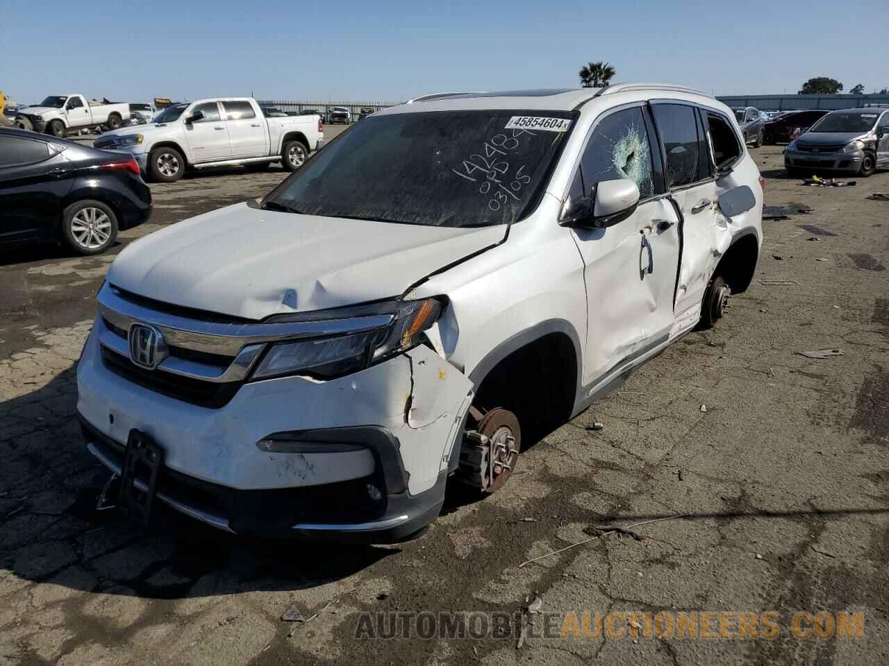 5FNYF5H61MB026542 HONDA PILOT 2021