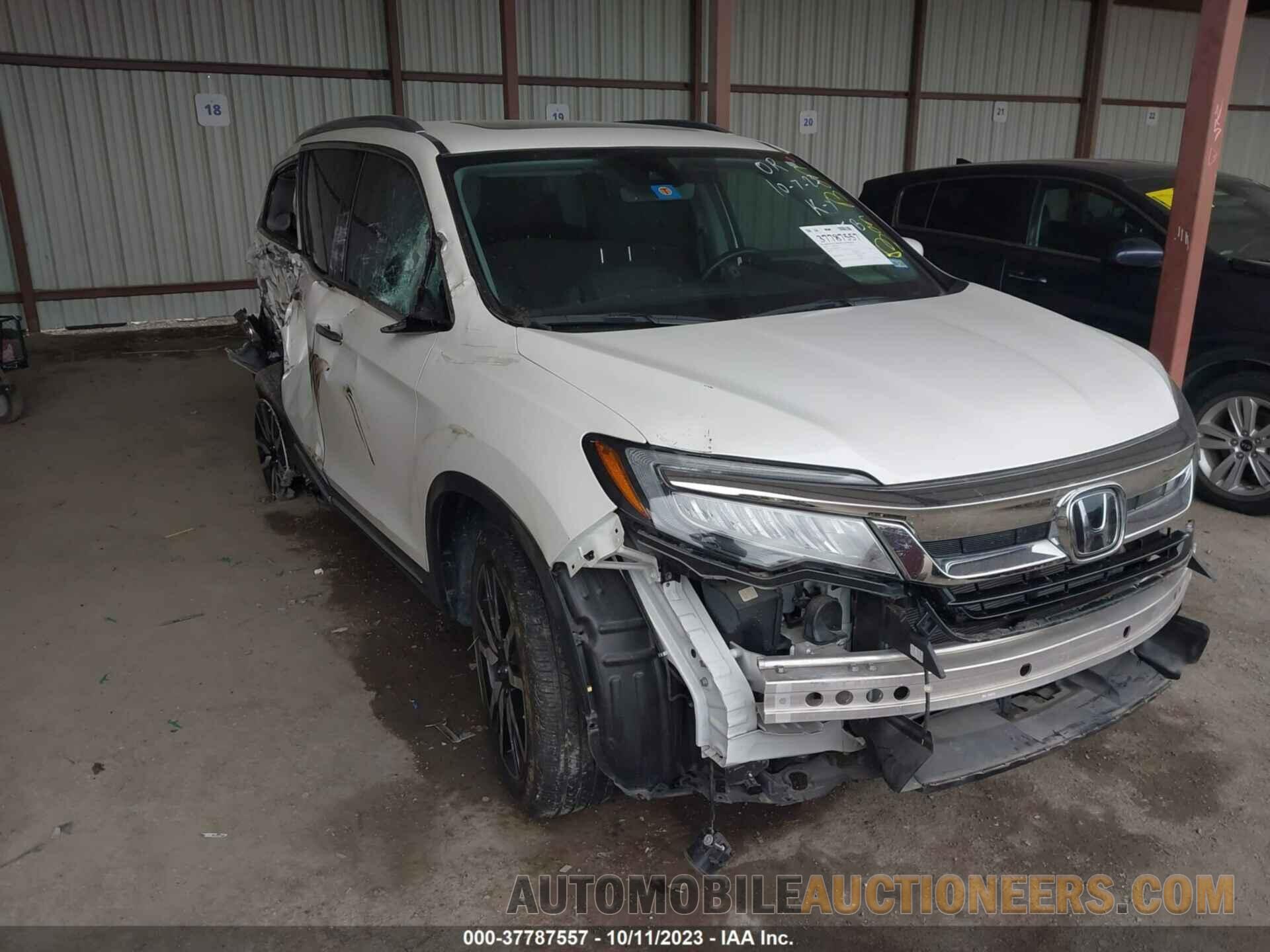 5FNYF5H6XKB037214 HONDA PILOT 2019