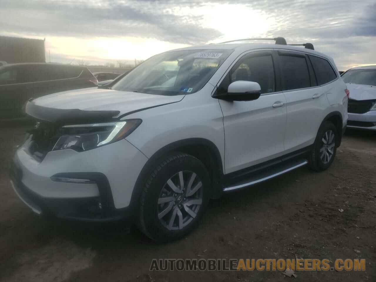 5FNYF6H35KB025550 HONDA PILOT 2019