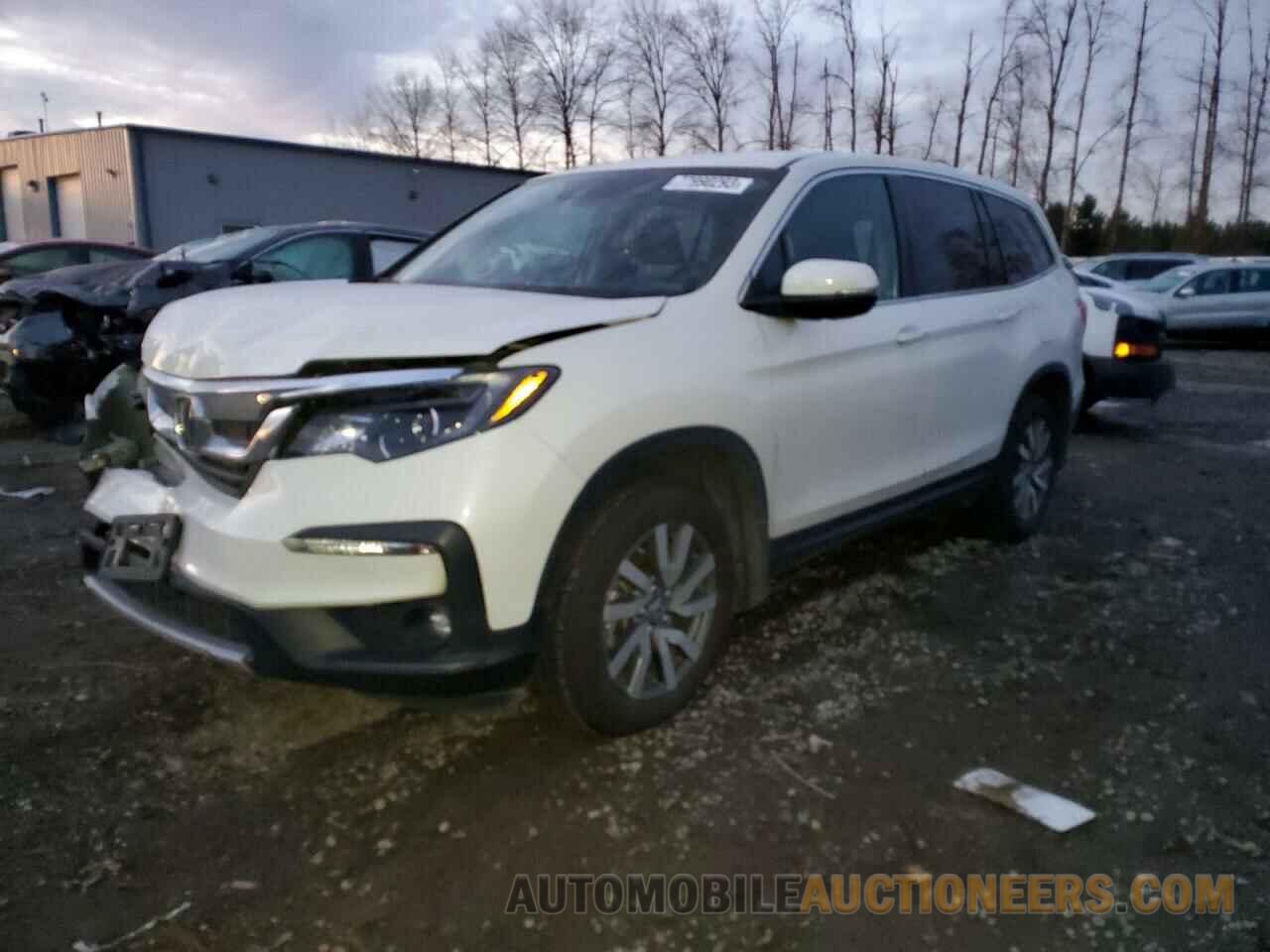 5FNYF6H36KB042423 HONDA PILOT 2019