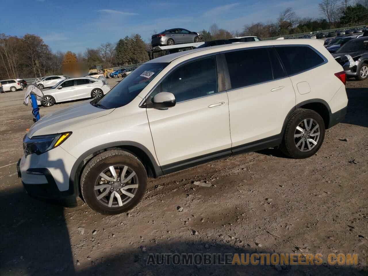 5FNYF6H36KB071405 HONDA PILOT 2019