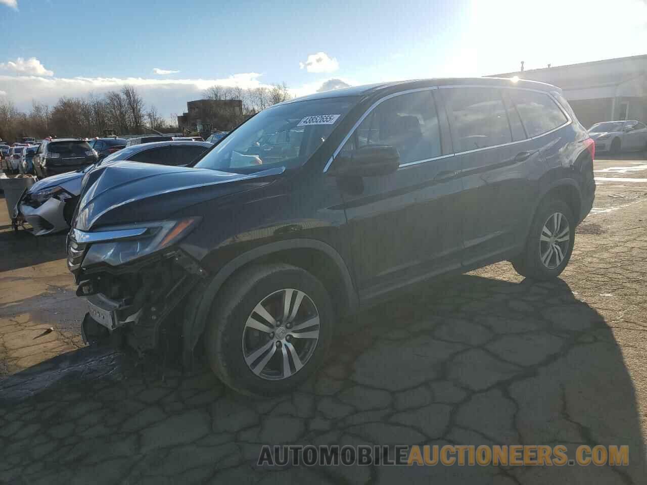 5FNYF6H39GB097505 HONDA PILOT 2016