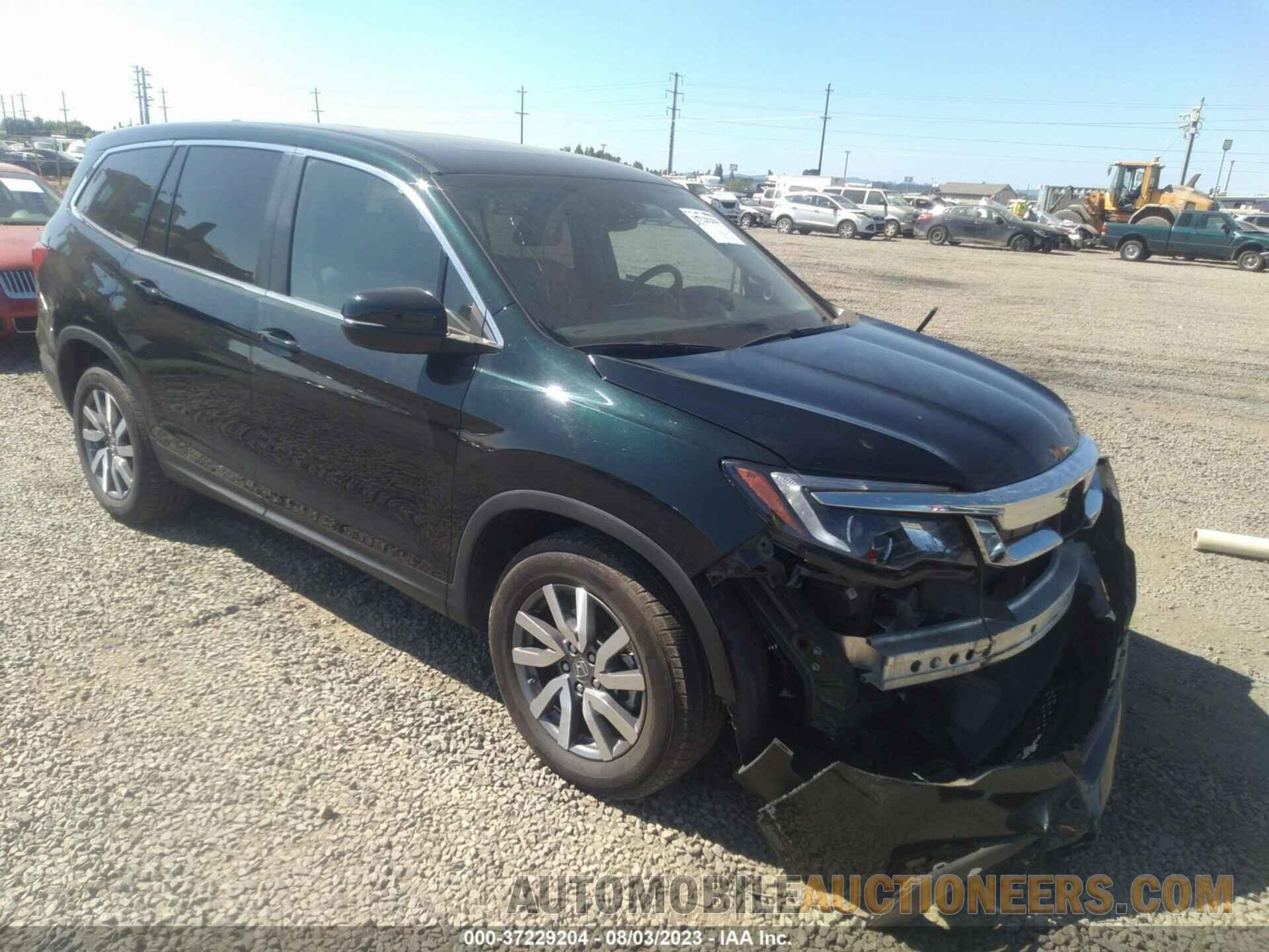 5FNYF6H50KB022704 HONDA PILOT 2019