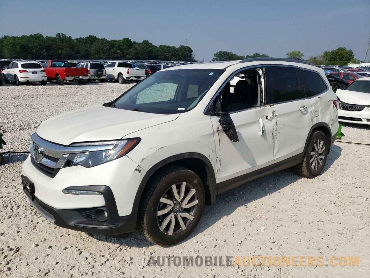 5FNYF6H50KB064631 HONDA PILOT 2019