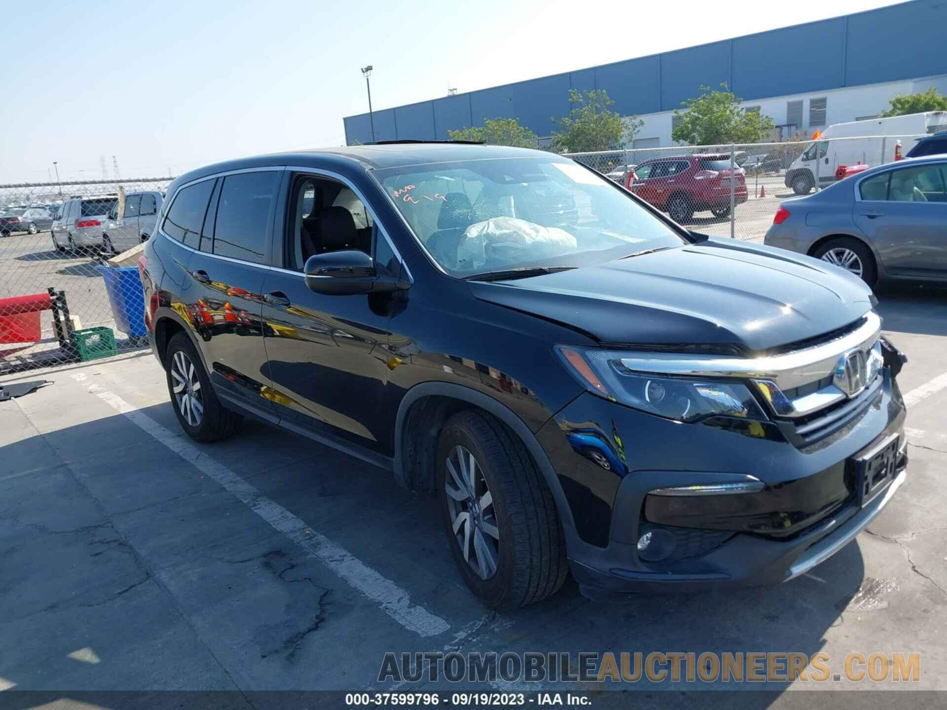 5FNYF6H51KB015244 HONDA PILOT 2019