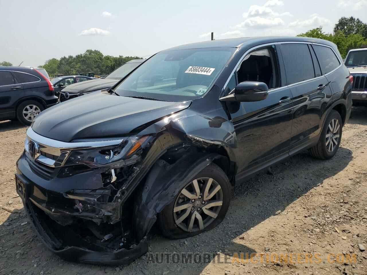 5FNYF6H51MB101169 HONDA PILOT 2021