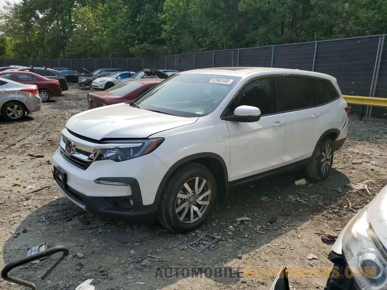 5FNYF6H52NB082746 HONDA PILOT 2022