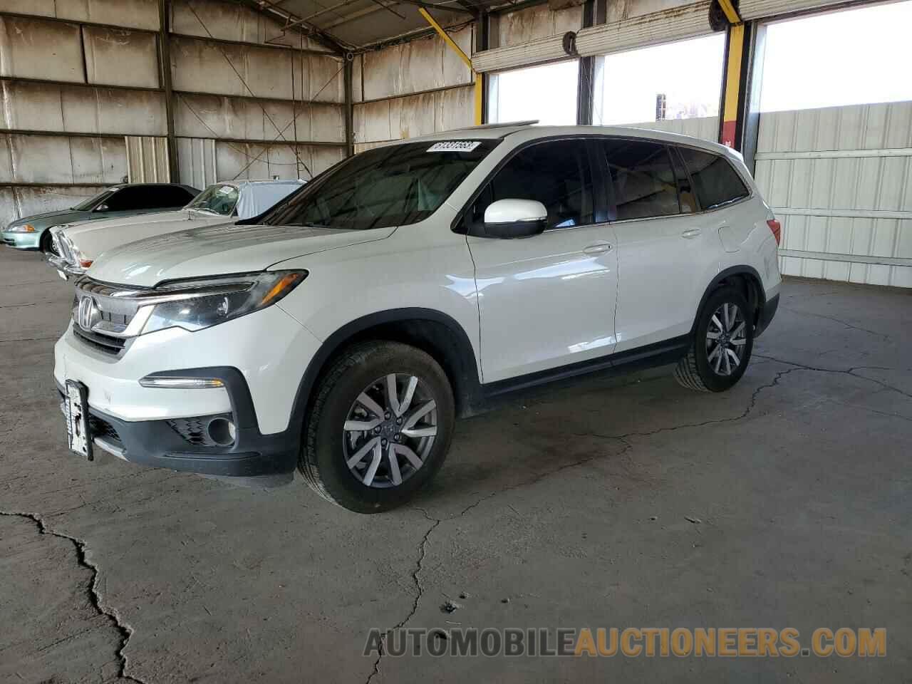 5FNYF6H55KB031771 HONDA PILOT 2019