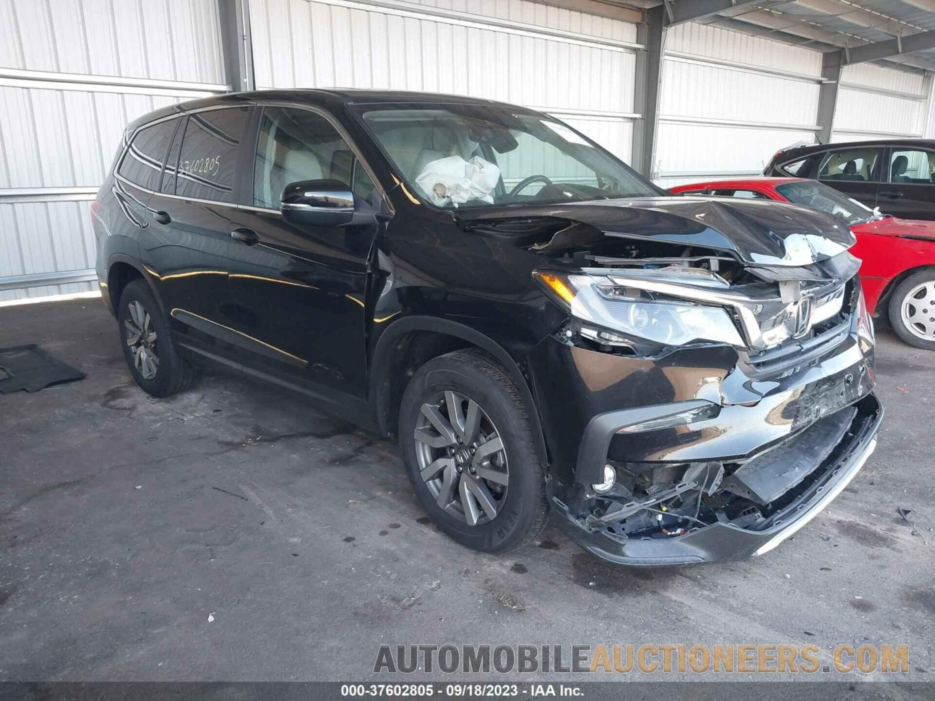 5FNYF6H55KB095549 HONDA PILOT 2019