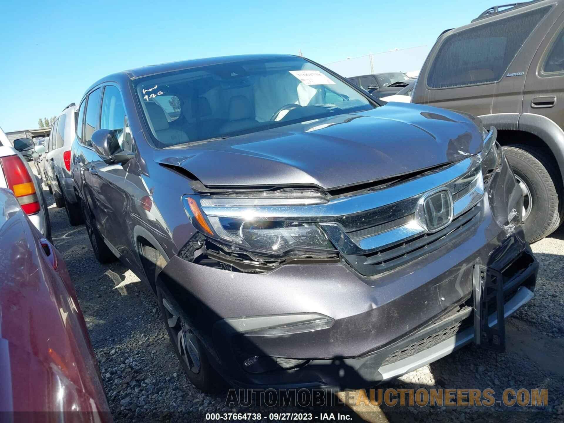 5FNYF6H57NB020971 HONDA PILOT 2022