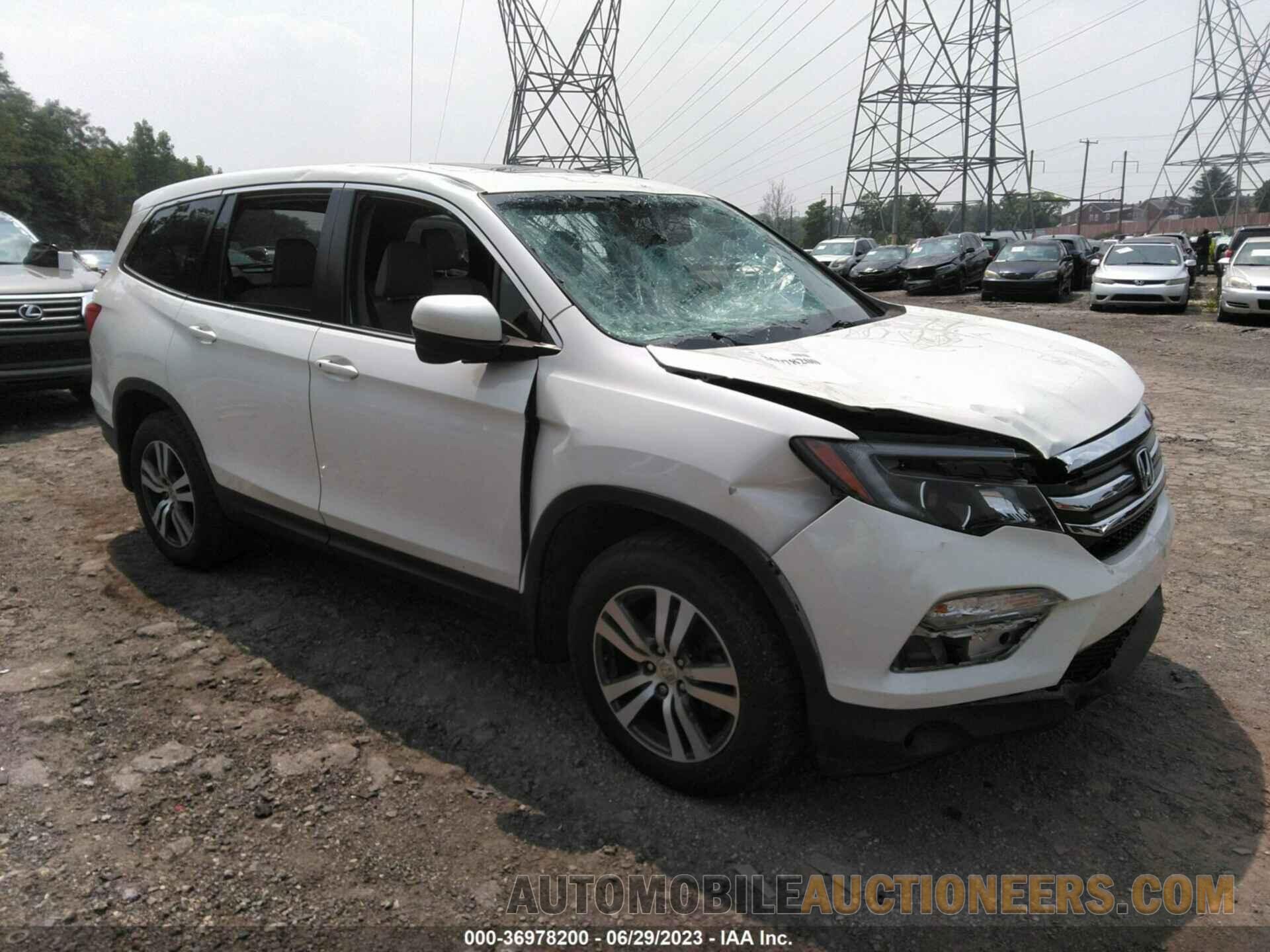 5FNYF6H59JB036146 HONDA PILOT 2018