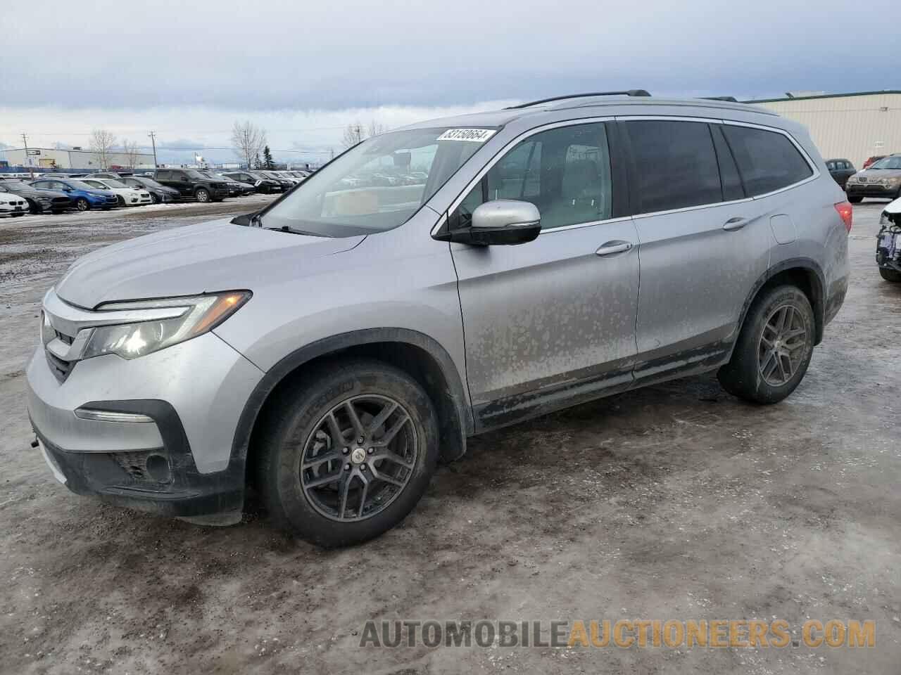 5FNYF6H73KB502561 HONDA PILOT 2019