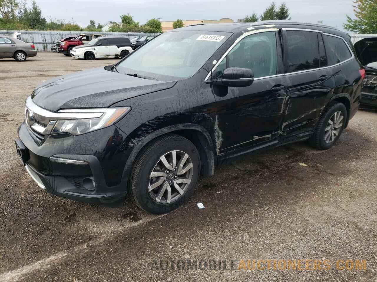 5FNYF6H79KB504332 HONDA PILOT 2019