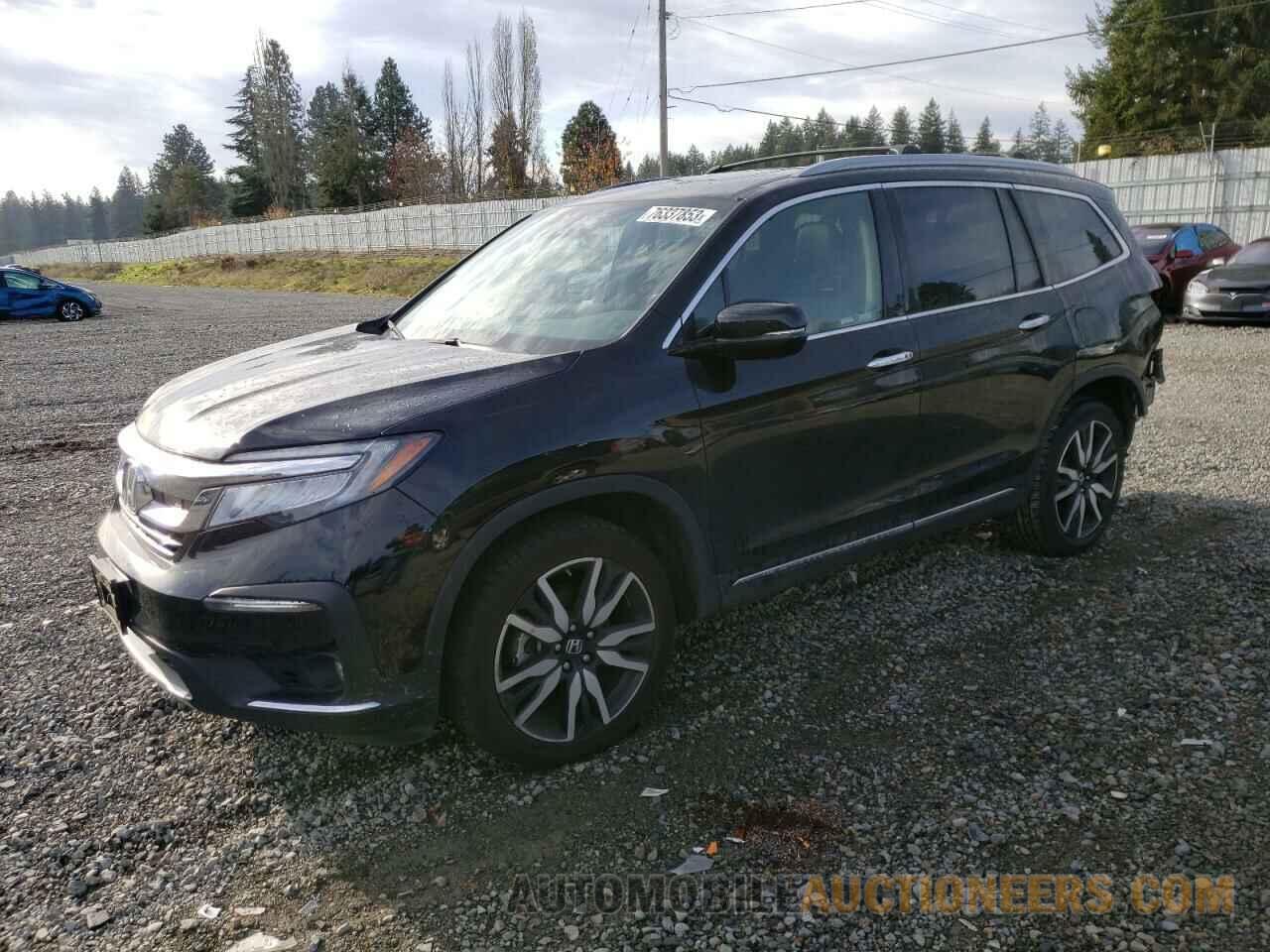 5FNYF6H91KB040230 HONDA PILOT 2019