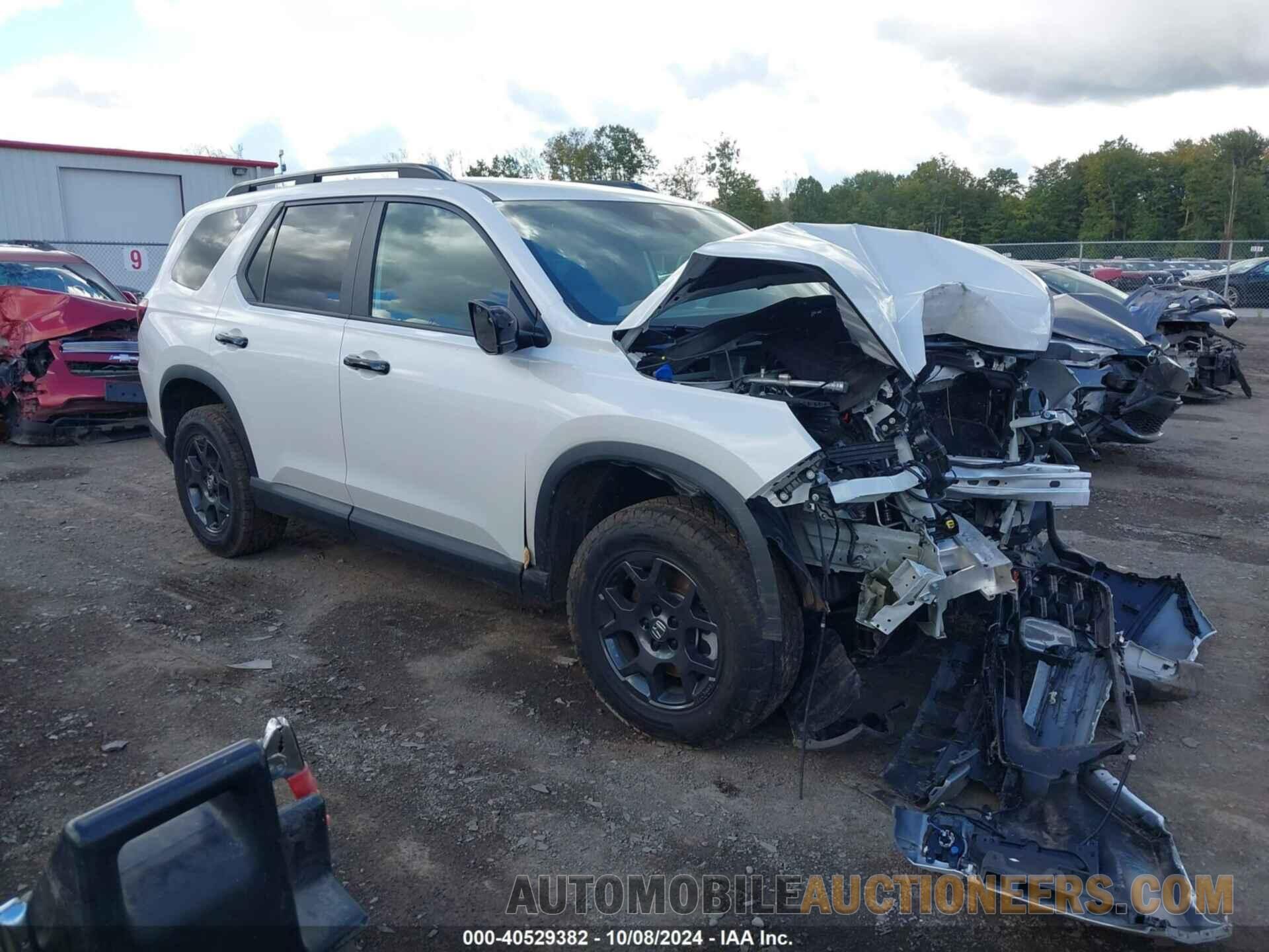 5FNYG1H62RB029561 HONDA PILOT 2024