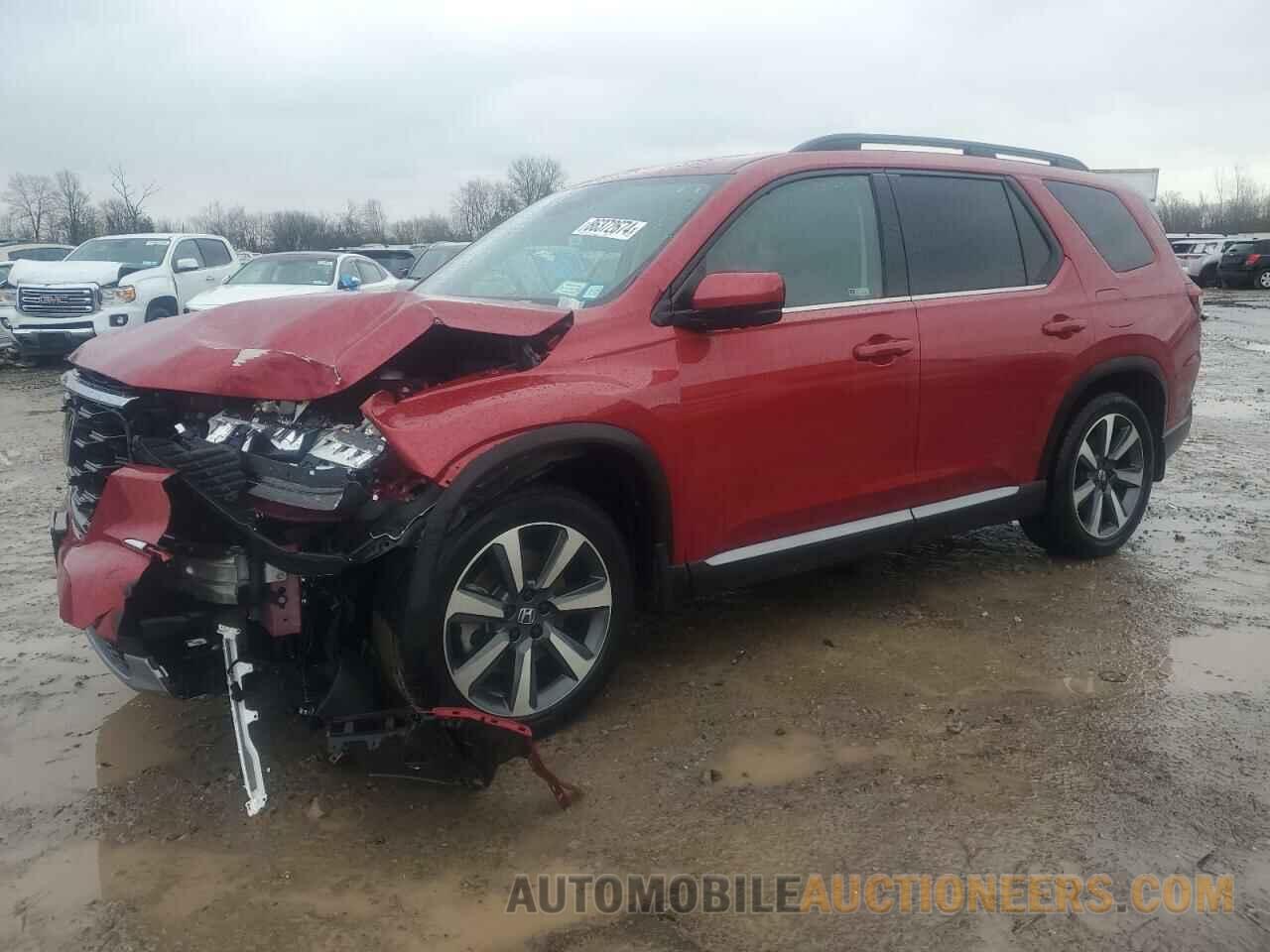 5FNYG1H84RB009281 HONDA PILOT 2024