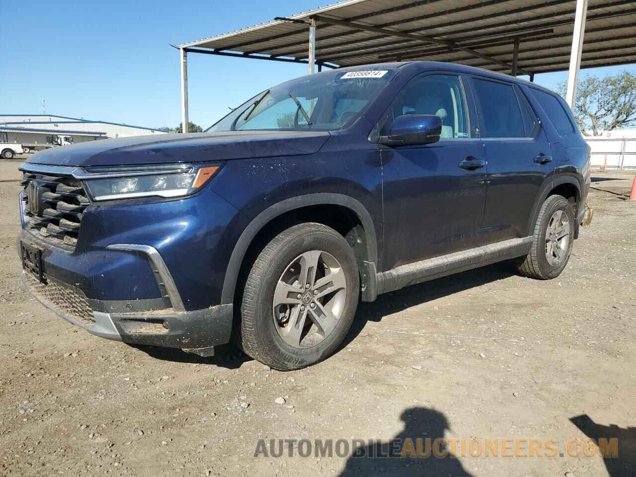 5FNYG2H45RB005713 HONDA PILOT 2024