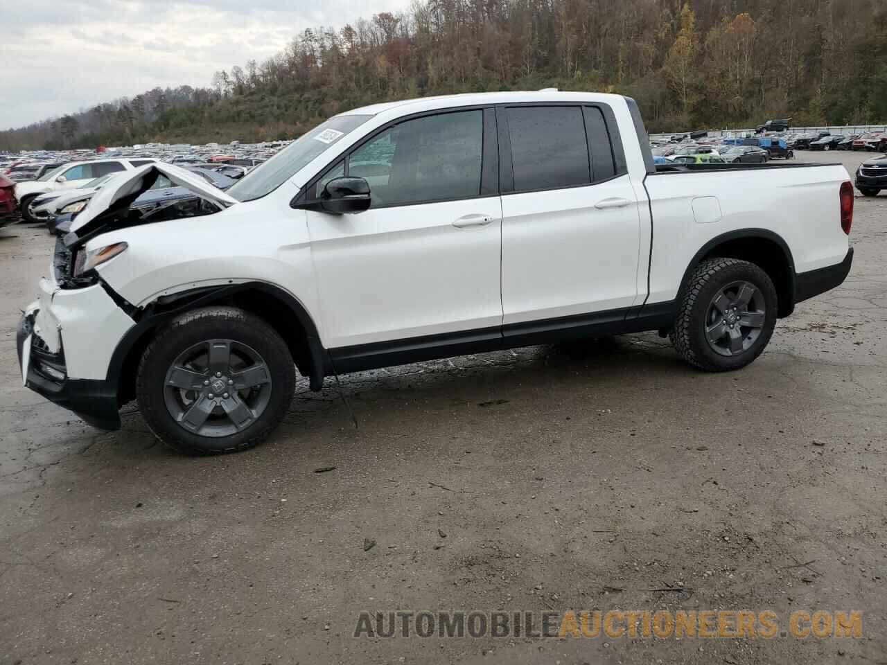 5FPYK3F65RB023614 HONDA RIDGELINE 2024