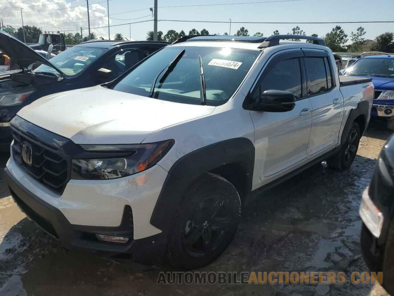 5FPYK3F83PB056416 HONDA RIDGELINE 2023