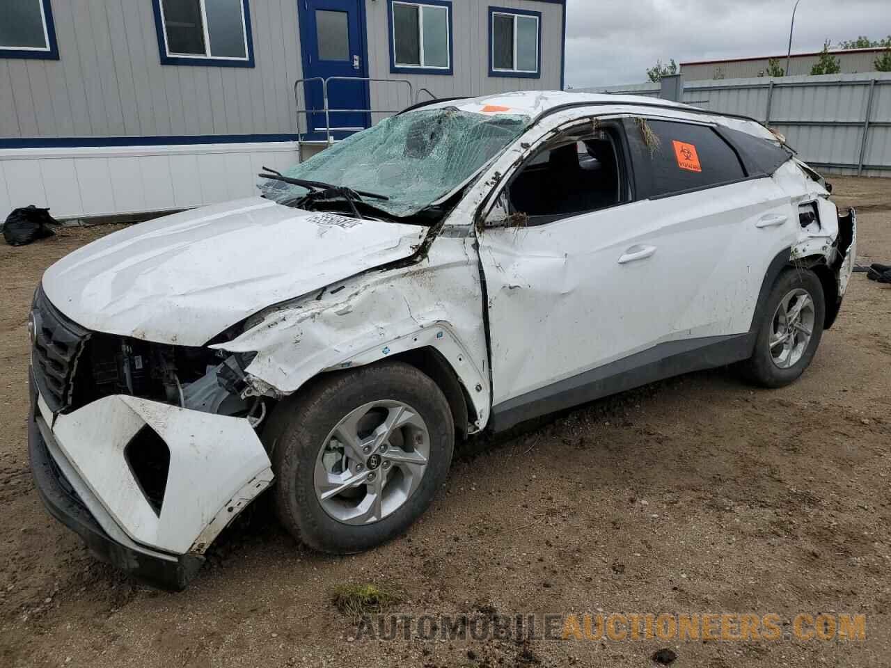 5NMJBCDE1RH316574 HYUNDAI TUCSON 2024