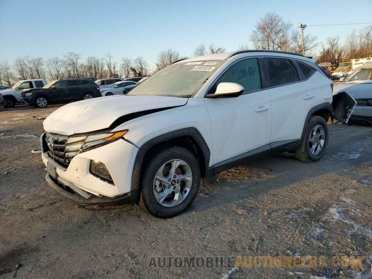 5NMJBCDE6RH348887 HYUNDAI TUCSON 2024