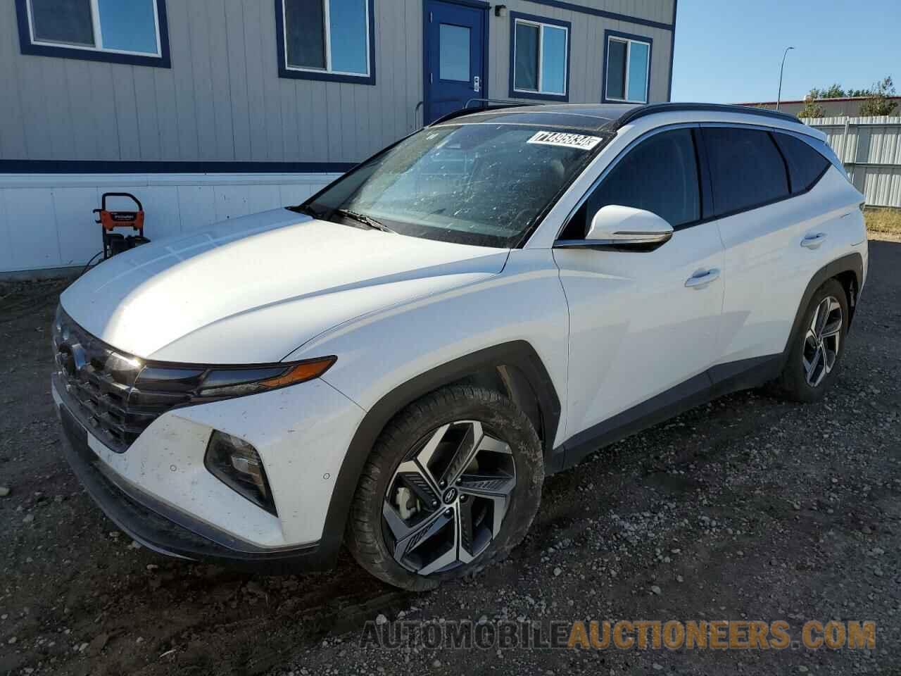 5NMJE3AE1PH193075 HYUNDAI TUCSON 2023