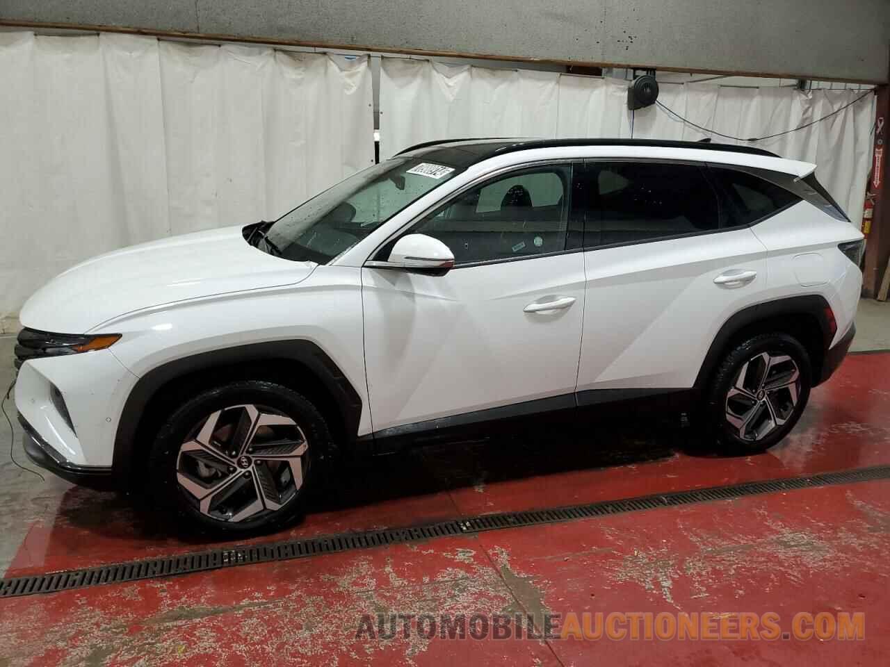 5NMJECAE5PH205888 HYUNDAI TUCSON 2023