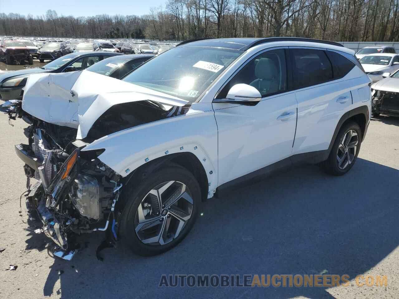 5NMJECDE1RH369590 HYUNDAI TUCSON 2024