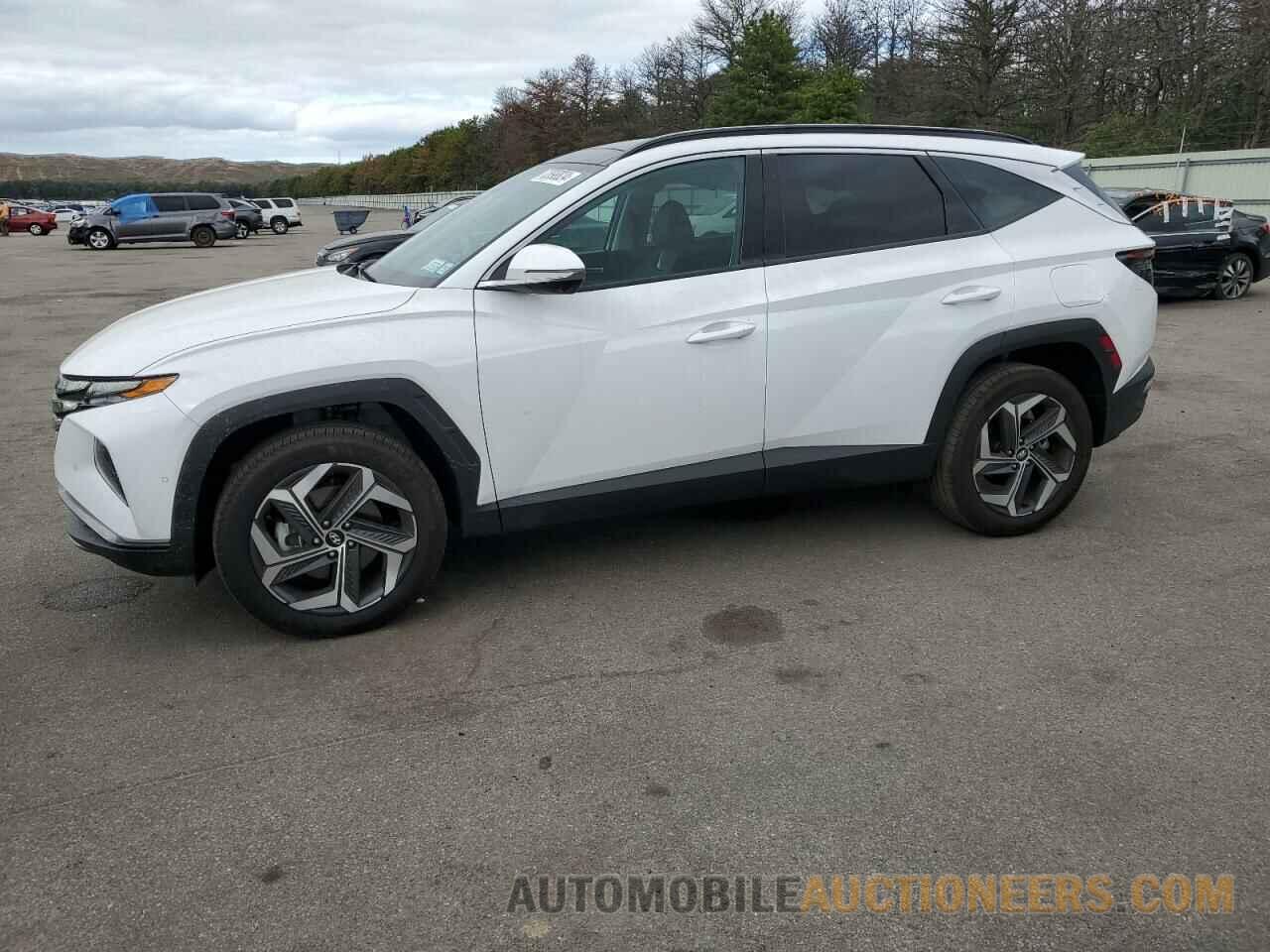 5NMJECDE4RH395102 HYUNDAI TUCSON 2024