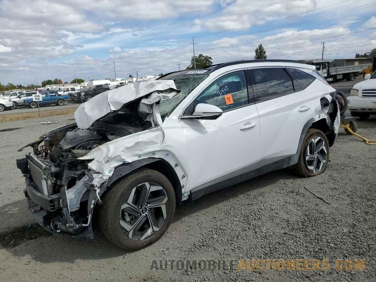 5NMJECDE5RH299799 HYUNDAI TUCSON 2024