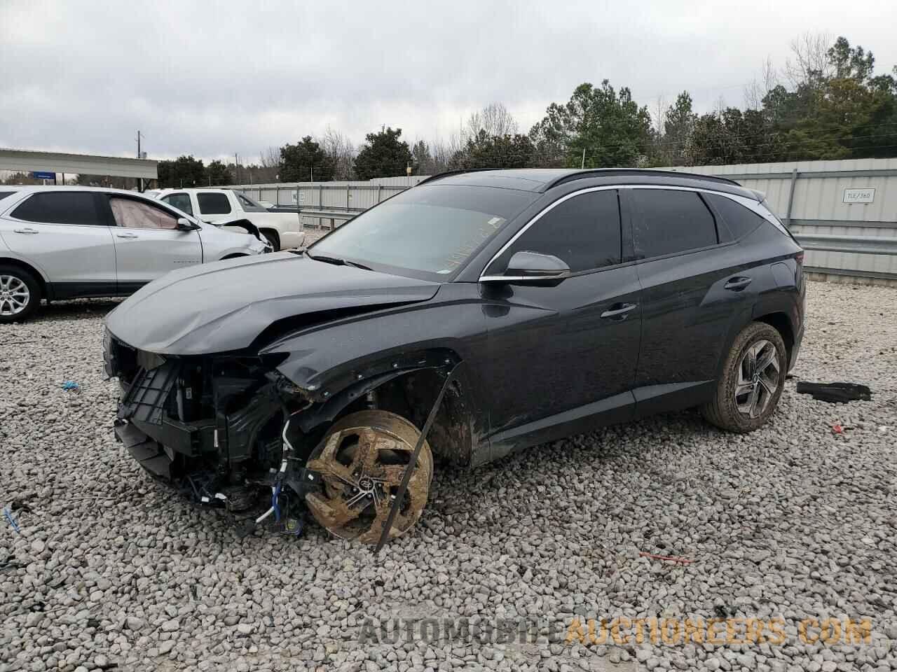 5NMJECDE6RH294532 HYUNDAI TUCSON 2024