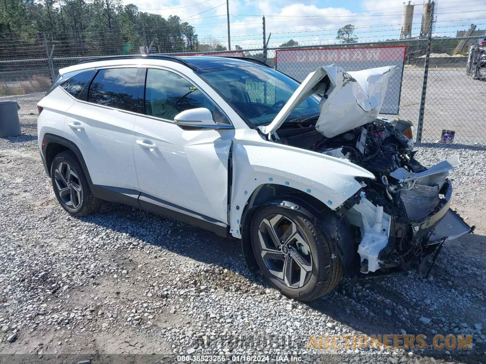 5NMJECDE7RH351515 HYUNDAI TUCSON 2024