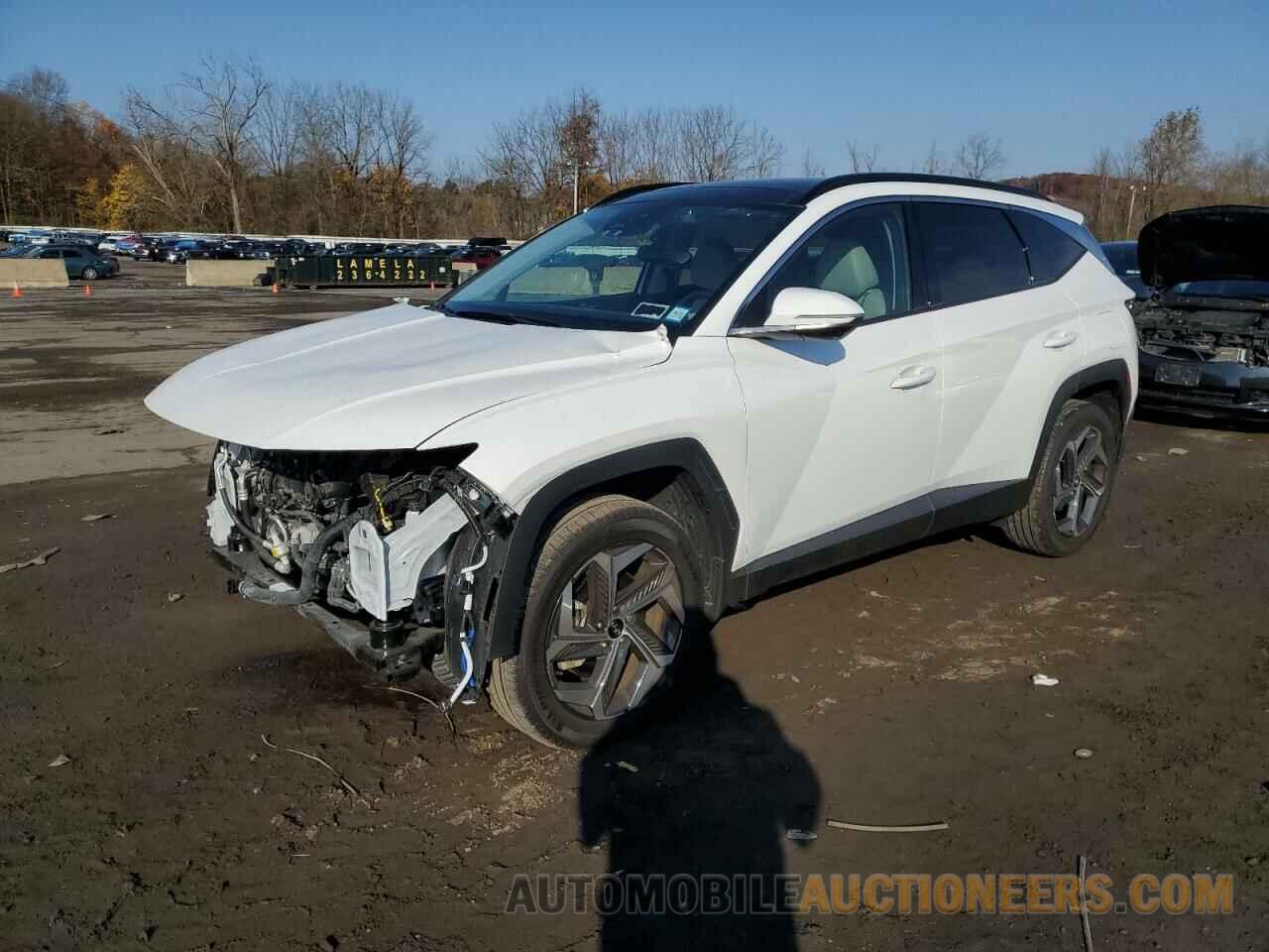 5NMJECDEXRH295036 HYUNDAI TUCSON 2024