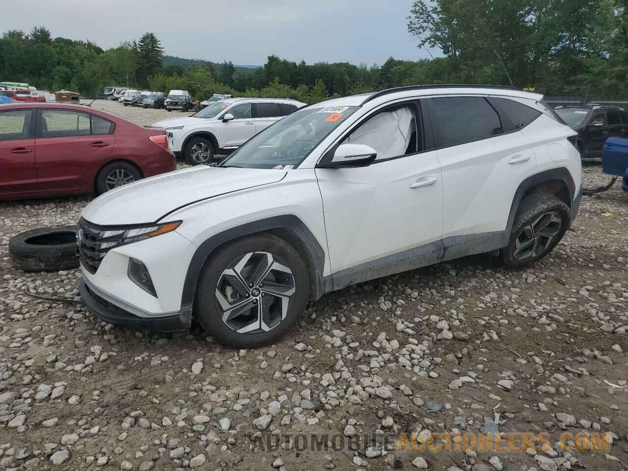 5NMJFCAE5PH185137 HYUNDAI TUCSON 2023