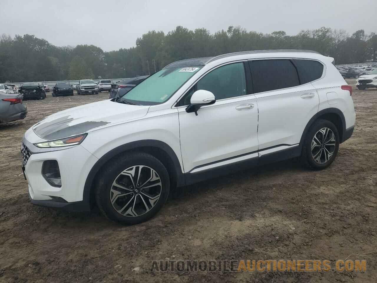 5NMS5CAA7KH027217 HYUNDAI SANTA FE 2019