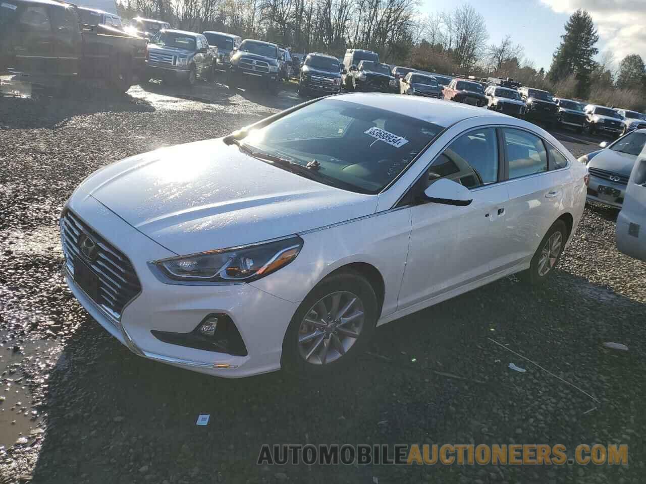 5NPE24AF0KH755228 HYUNDAI SONATA 2019