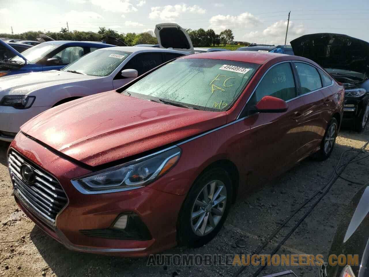 5NPE24AF0KH778430 HYUNDAI SONATA 2019