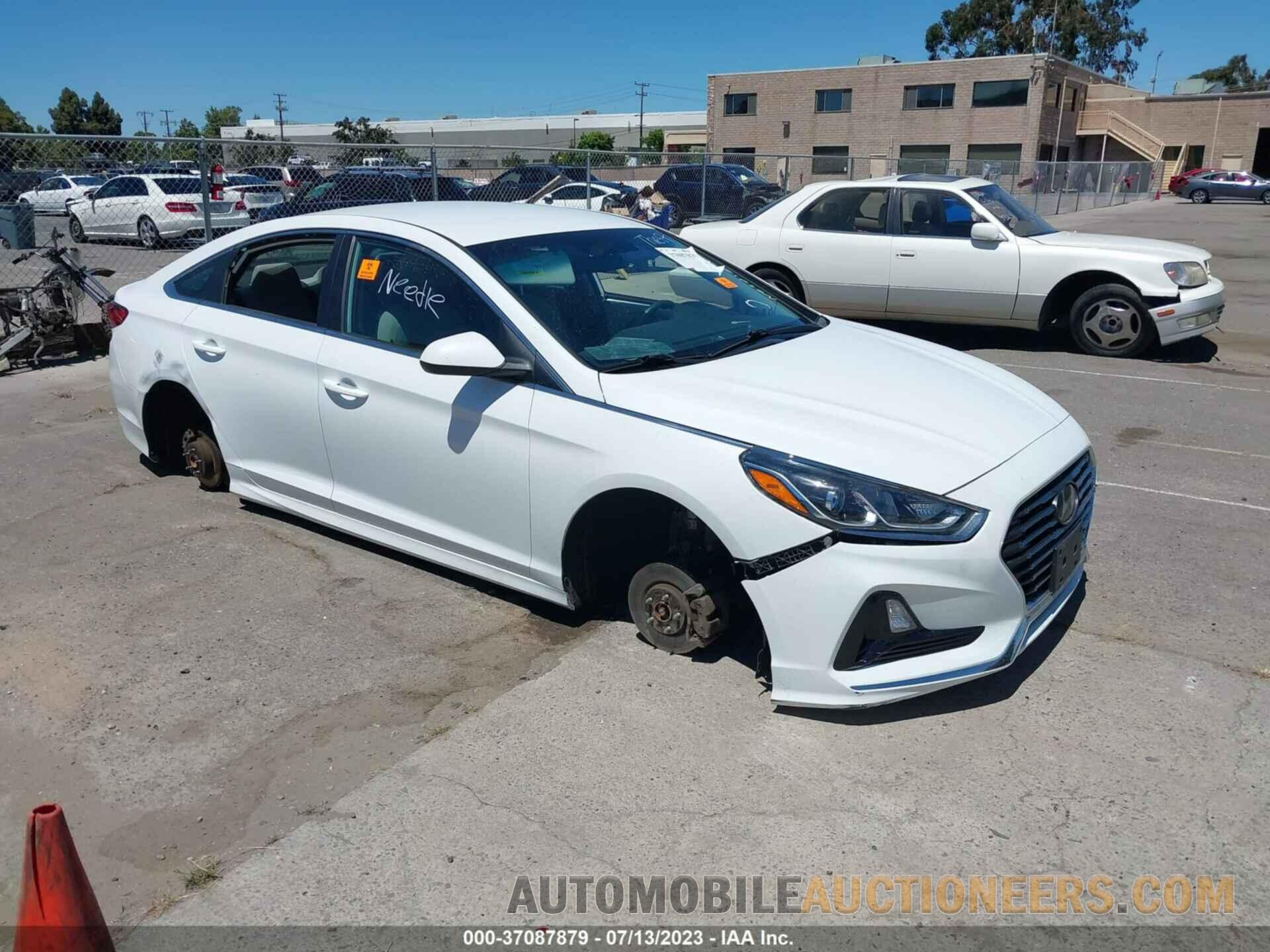 5NPE24AF0KH801348 HYUNDAI SONATA 2019