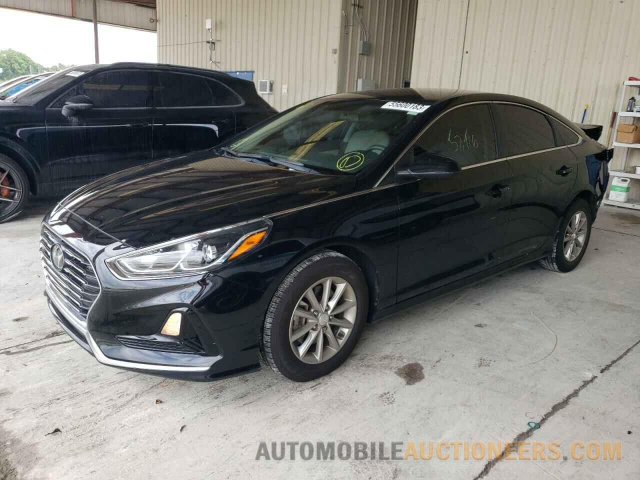 5NPE24AF0KH801673 HYUNDAI SONATA 2019