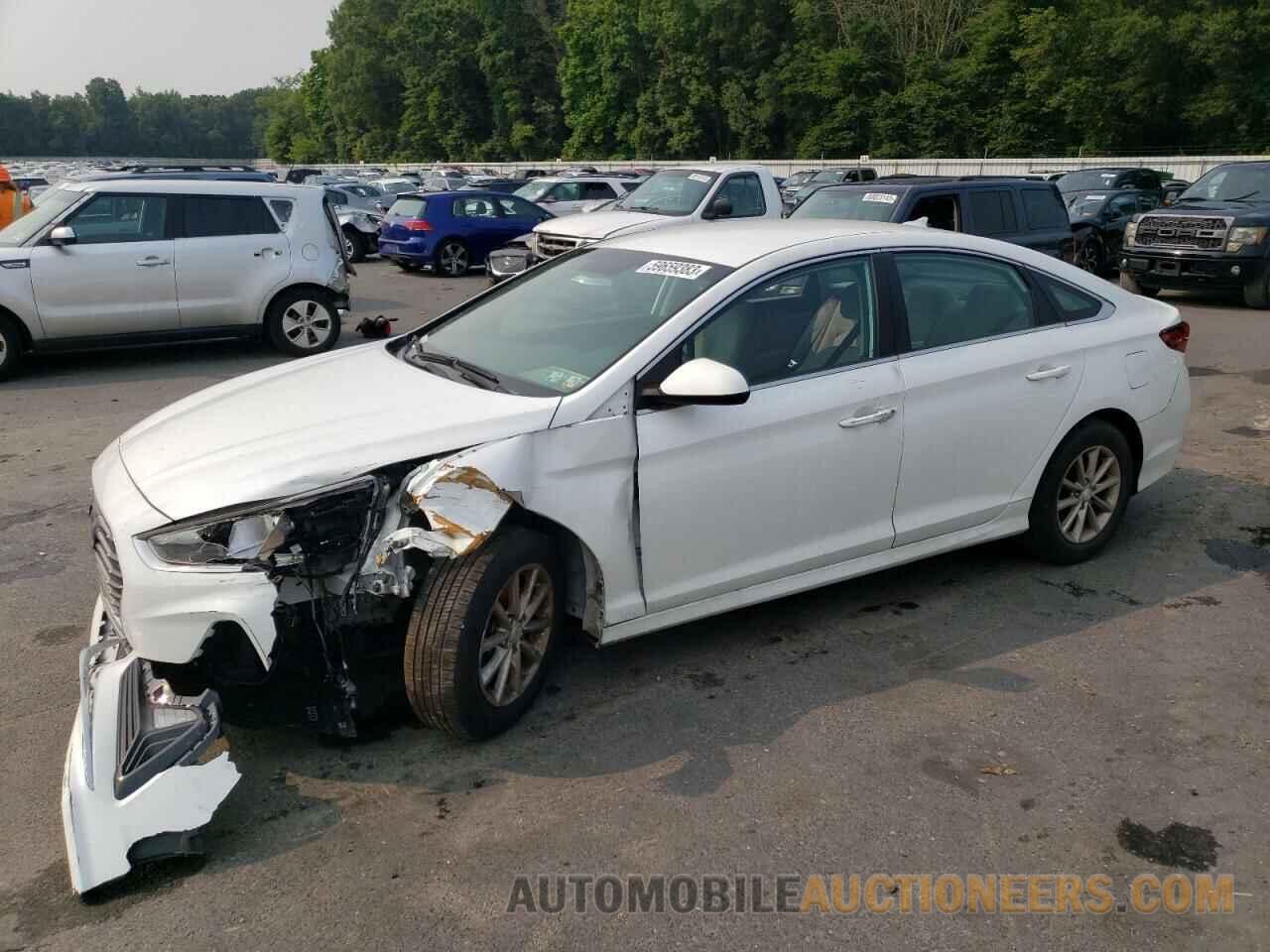 5NPE24AF0KH818084 HYUNDAI SONATA 2019