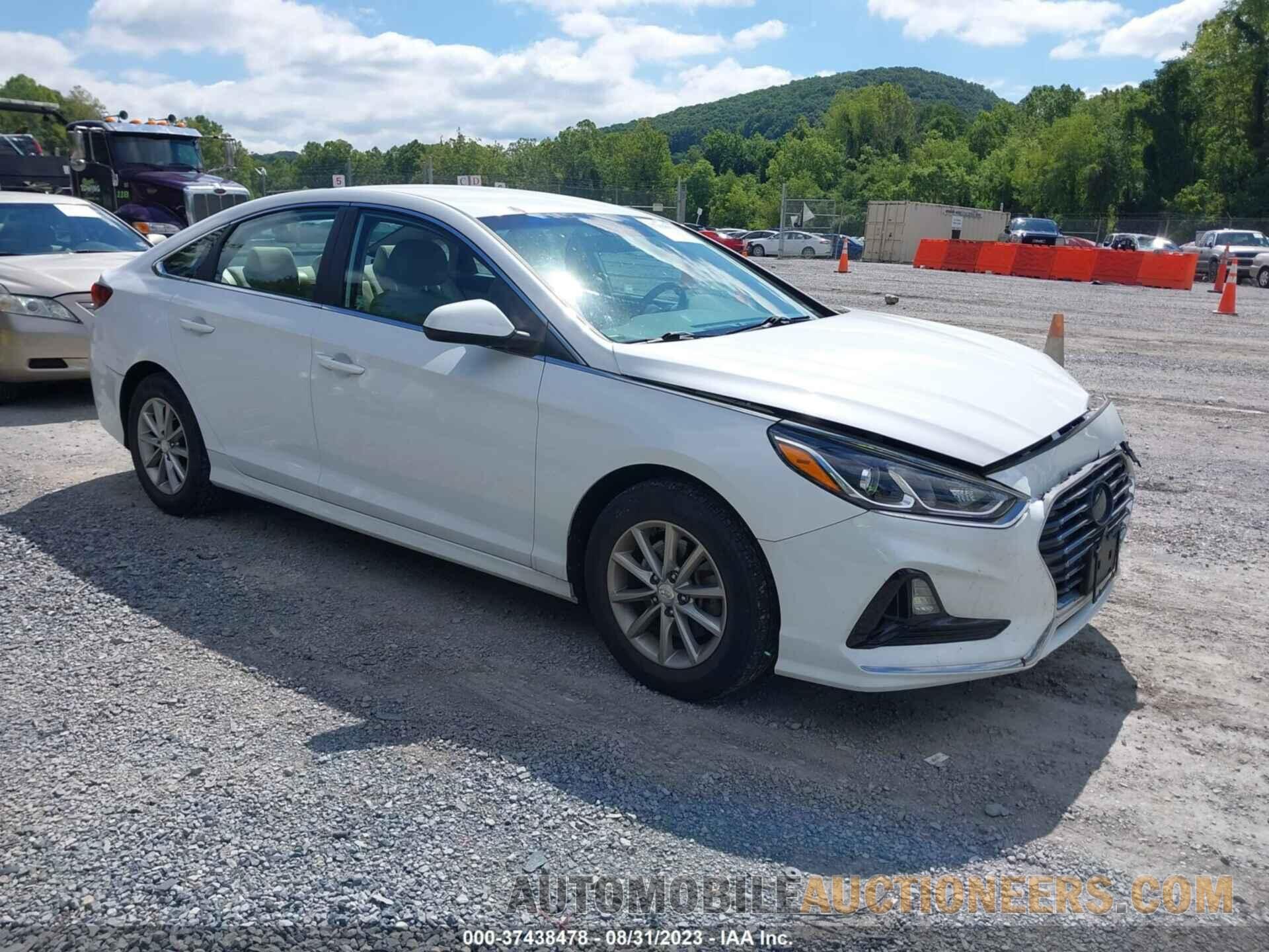 5NPE24AF1KH735585 HYUNDAI SONATA 2019