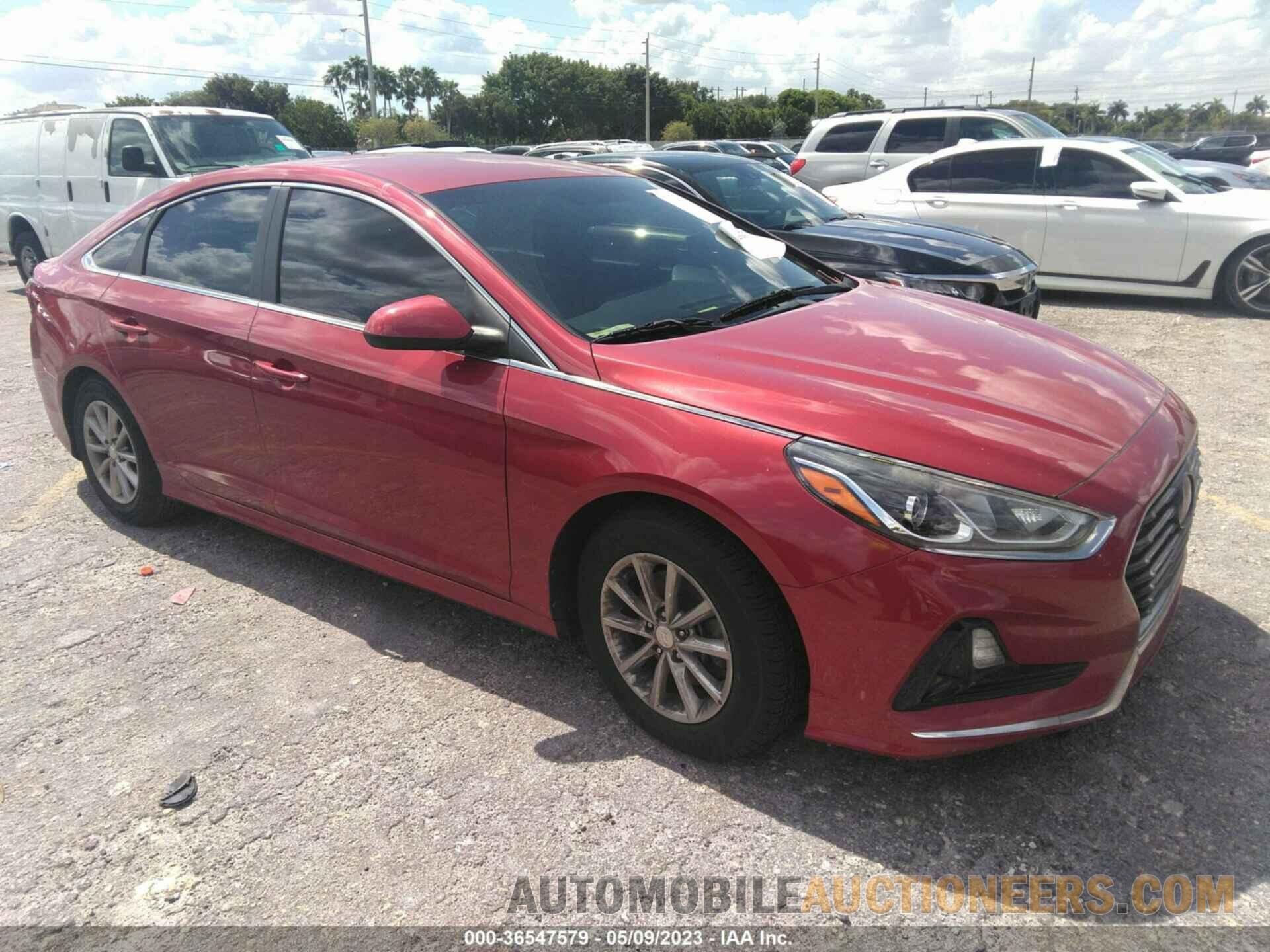 5NPE24AF1KH736302 HYUNDAI SONATA 2019